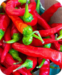 Cayenne Pepper extract in ProtoFlow